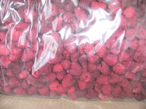rasp aus 3