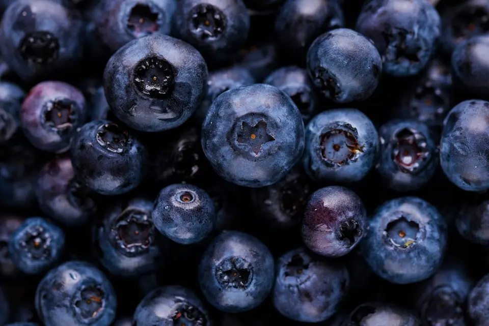 Fresh blueberries, illustrating our berry product range