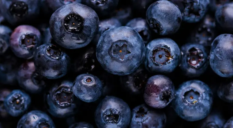 Arándanos frescos que ilustran nuestra gama de frutas del bosque