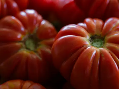 Tomates maduros que ilustran nuestra gama de productos en conserva