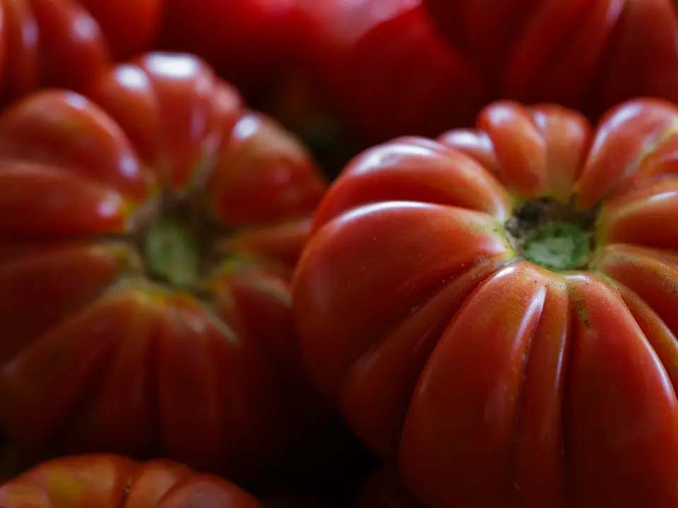 Ripe tomatoes, illustrating our canned product range